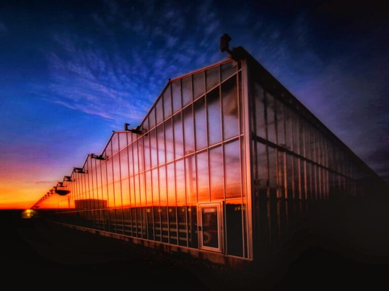 Large glass greenhouse glowing with reflections of a vivid sunset, with deep orange and purple hues lighting up the sky and casting a orange glow on the structure.