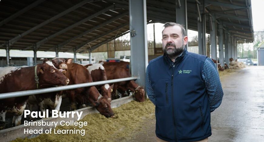 Paul Burry, Head of Learning at Brinsbury College, standing in the Cattle Shed surrounded by cows