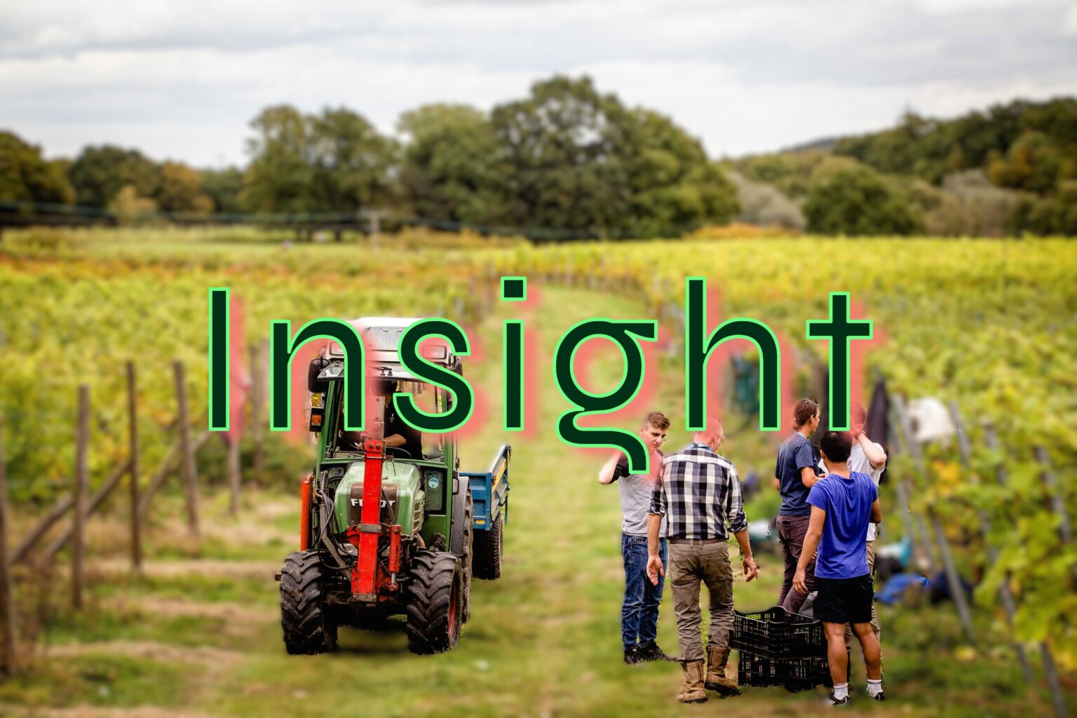 Vineyard background blurred with students and tractor sharp in the forefront with the word Insights overlaid